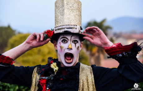 Carnaval Saint-Gaudens, Labo M Arts / © Picturaline