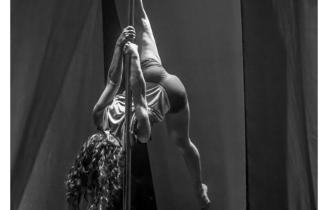 Pole dance-Labo M Arts @DR